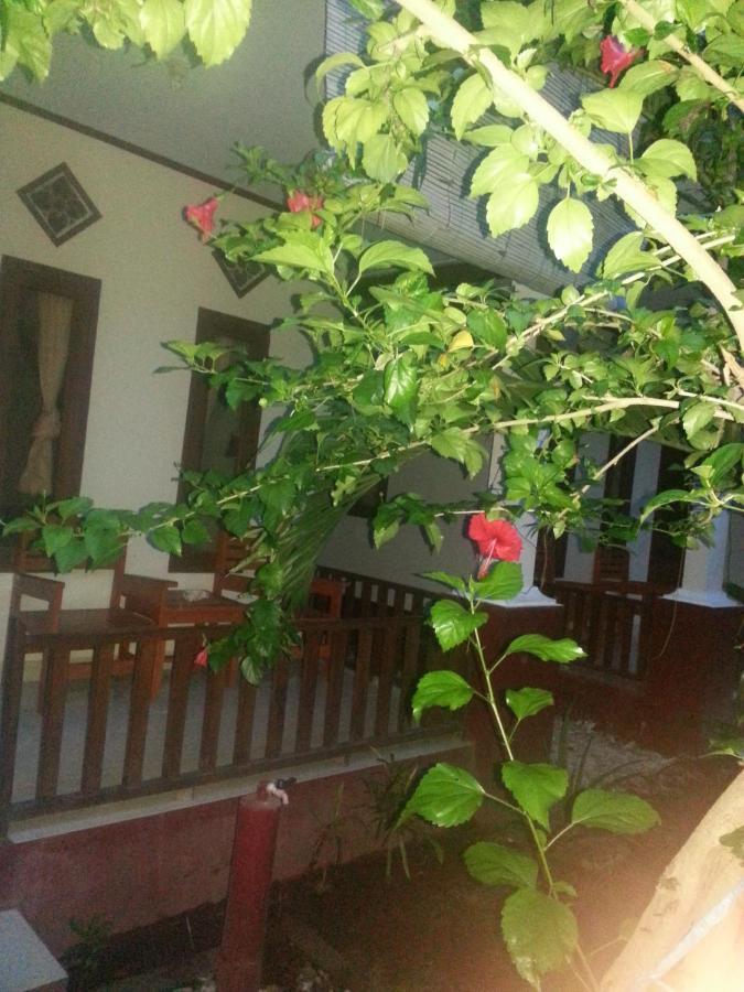 Family Bungalow Gili Meno Exteriör bild